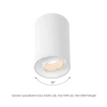 Downlight regulowany CHLOE biała Ø 8cm GU10 Spectrum SLIP004008 | 5902650587328 noxbox lampynox www.lampynox.pl