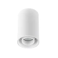 Downlight regulowany CHLOE biała Ø 8cm GU10 Spectrum SLIP004008 | 5902650587328 noxbox lampynox www.lampynox.pl