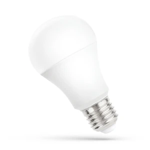 LED GLS E-27 24V AC/DC 13W CW Żarówka niskonapięciowa