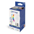 Żarówka sterowana aplikacją LED KULKA 5W E-27 RGBW+CCT+DIMM Wi-Fi/BT Spectrum SMART Spectrum WOJ+14515 | 5902650586826 noxbox lampynox www.lampynox.pl