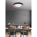Plafon ARCO czarny mat DIM PILOT STARLIGHT RGBW 22W 2700-6000K ściemnialny RL R65091032 | 4017807508833 noxbox lampynox www.lampynox.pl