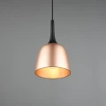 Lampa wisząca CHIRON Mosiądz mat śr.20cm. E27 Trio 310800108 | 4017807503845 noxbox lampynox www.lampynox.pl