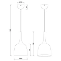 Lampa wisząca CHIRON Mosiądz mat śr.20cm. E27 Trio 310800108 | 4017807503845 noxbox lampynox www.lampynox.pl