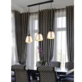 Lampa wisząca CHIRON Mosiądz mat śr.45cm. E27 Trio 310890108 | 4017807503838 noxbox lampynox www.lampynox.pl