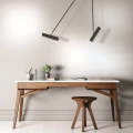 Lampa wisząca regulowana czarny mat LED 2x5W 3000K Zambelis 1617 | 5213006840074 noxbox lampynox www.lampynox.pl