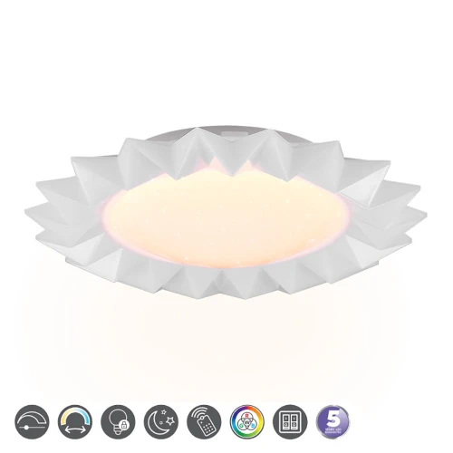 Plafon dziecięcy SUNFLOWER Biały LED DIM PILOT RGBW 13W 2700-5500K RL R65071201 | 4017807502800 noxbox lampynox www.lampynox.pl