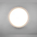 Lampa sufitowa MONTE Brąz LED DIM PILOT 38W 3000-6500K RL R62171930 | 4017807504613 noxbox lampynox www.lampynox.pl