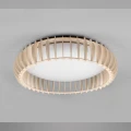 Lampa sufitowa MONTE Brąz LED DIM PILOT 38W 3000-6500K RL R62171930 | 4017807504613 noxbox lampynox www.lampynox.pl