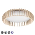 Lampa sufitowa MONTE Brąz LED DIM PILOT 38W 3000-6500K RL R62171930 | 4017807504613 noxbox lampynox www.lampynox.pl