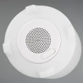 Lampa dekoracyjna zewnętrzna Doniczka HAWAII RGB, Głośnik Bluetooth, sterownie pilotem RL R55096101 | 4017807492200 noxbox lampynox www.lampynox.pl noxbox lampynox www.lampynox.pl