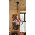 Enna lampa wisząca 7870 Rabalux 5998250378701 noxbox lampynox www.lampynox.pl