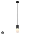 Lampa wisząca ROBIN Czarny mat E27 Trio 310600101 | 4017807504453 noxbox lampynox www.lampynox.pl