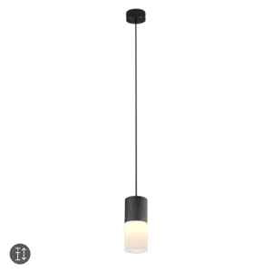 ROBIN Czarny mat E27 Lampa wisząca