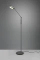Lampa podłogowa ściemnialana FRANKLIN antracyt LED DIM 6,5W 2700+3200+4000K Trio 426510142 | 4017807525366 noxbox lampynox www.lampynox.pl