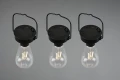 Zestaw trzech lamp wiszących dekoracyjnych CAMPUS 3xLED czujnik zmierzchu IP44 Zasilanie solarne RL R35146132 | 4017807529432 noxbox lampynox www.lampynox.pl