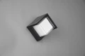 Kinkiet zewnętrzny PUNO czarny mat LED 8W 3000K IP54 RL R27026132 | 4017807529357 noxbox lampynox www.lampynox.pl