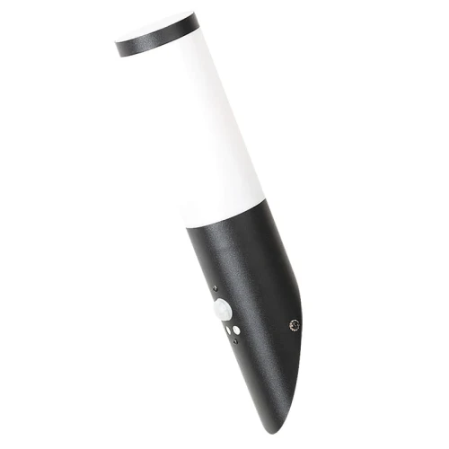 Black torch kinkiet zewnętrzny z czujnikiem ruchu Rabalux 8146  5998250381466 noxbox lampynox.pl 1.jpg