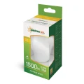 LED FILAMENT GLS 11W COG NW Barwa biała 4000K WHITE E-27 230V SPECTRUM WOJ+14366  5902650567436 noxbox lampynox www.lampynox.pl 3.jpg