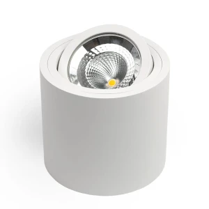 SASARI RO 15W 1436lm 3000K Biała OXYLED DLN15 36 3K R biały
