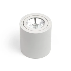 SASARI RO 6W 450lm 4000K Biała OXYLED DLN6 36 4K R biały