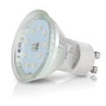 21 LED GU10 4W 800.jpg