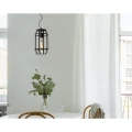 Lampa wisząca FERN Czarna śr. 20cm. E27 Lucide 254080130  5411212250957 lampynox noxbox www.lampynox.pl 6.jpg