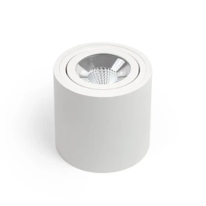 SASARI RO 10W 856lm 3000K Biała OXYLED DLN10 36 3K R biały