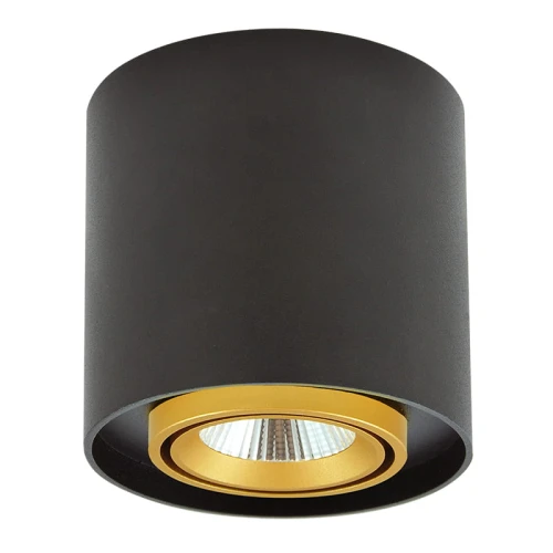 Oprawa natynkowa LED XENO okrągła 3000K 15W 1200lm czarny-złoty Polux 312068  5901508312068 lampynox noxbox www.lampynox.pl 1.jpg