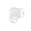 Downlight Akron IP54 GU10 Rabalux 8149  5998250381497 lampynox noxbox www.lampynox.pl 4.jpg