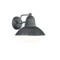 227460188 Amur trio noxbox lampynox 800 2.jpg
