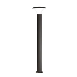 Kongo | 1200